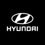 hyundai marcas chaveiro guardiao